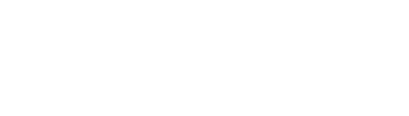 Fidsud