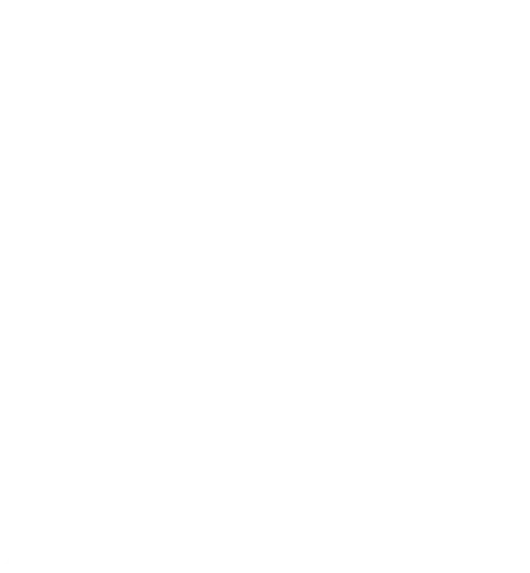 Prowheel